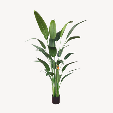 Kunstplant Strelitzia met Bloem - 180cm
