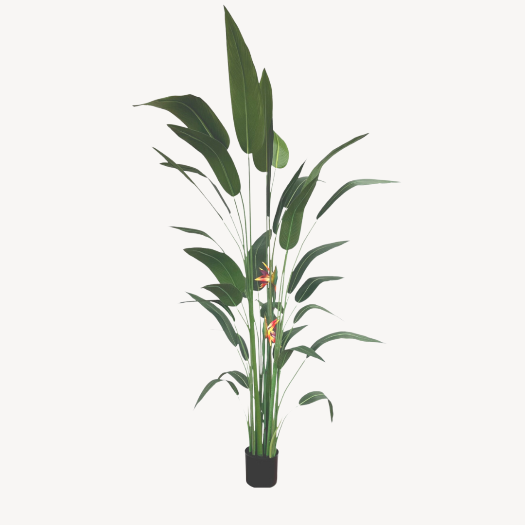 Kunstplant Strelitzia met Bloem - 210cm