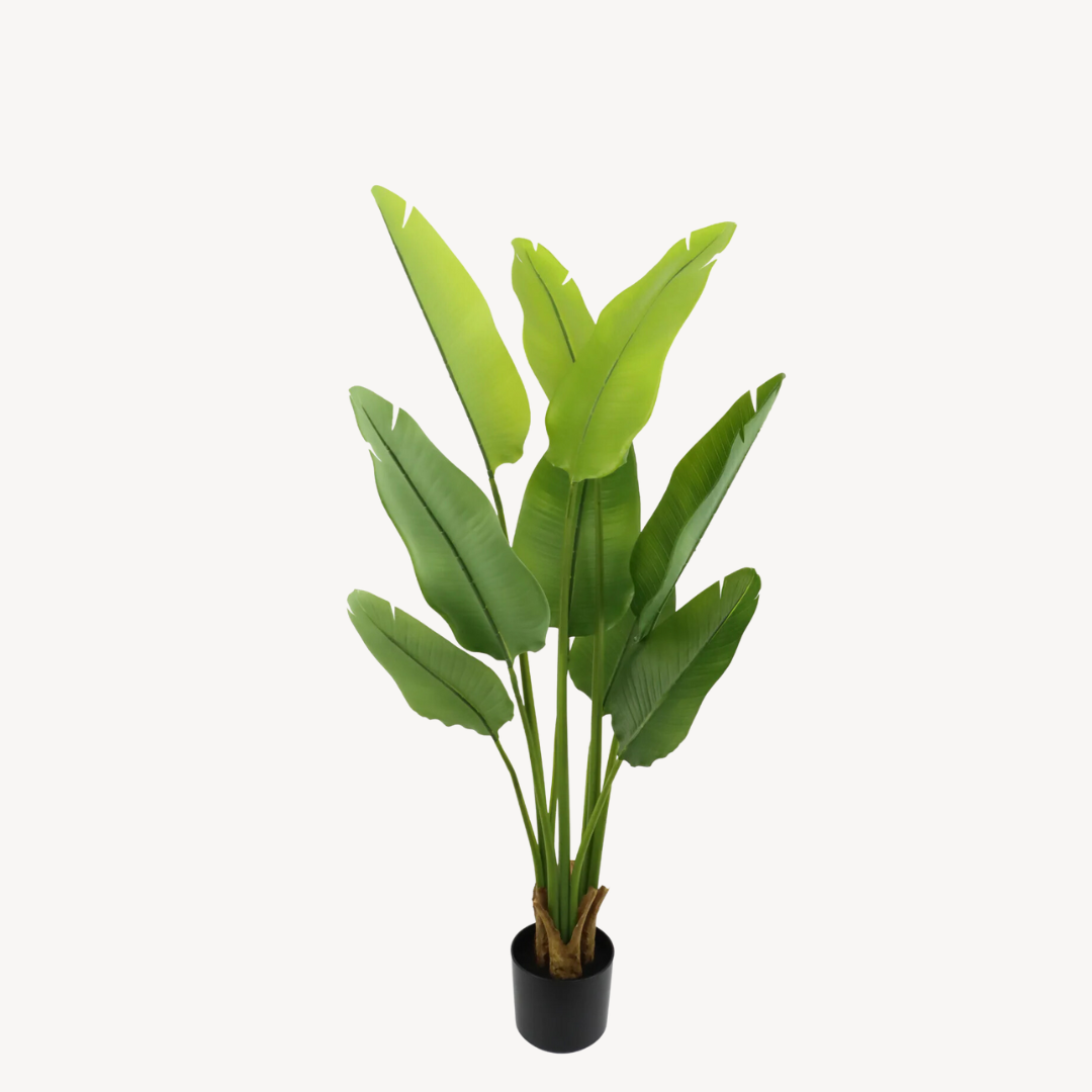 Kunstplant Strelitzia - 120cm