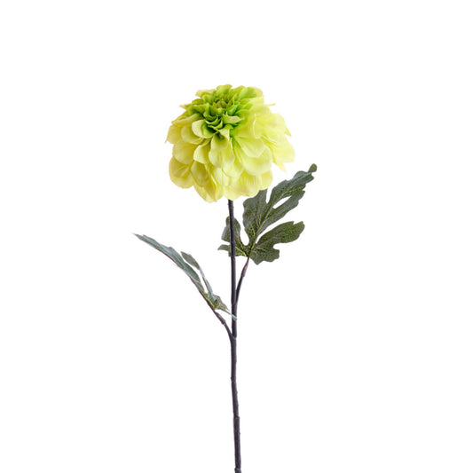Flower Jirina