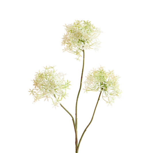 Flower Radiata