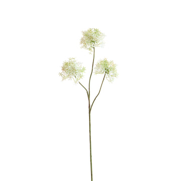 Flower Radiata