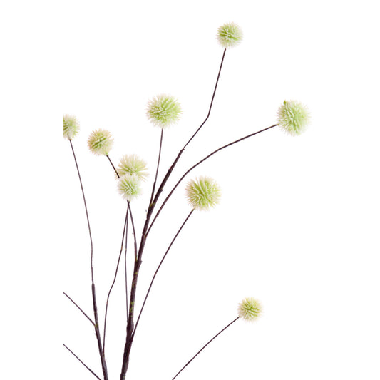 Flower Botanic