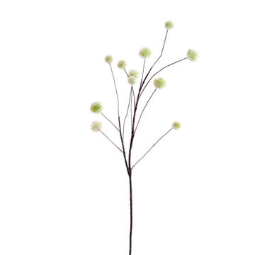 Flower Botanic