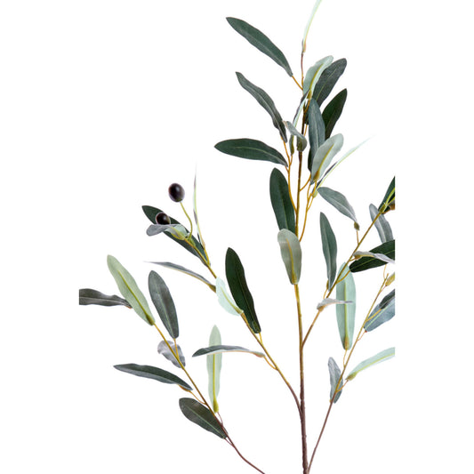 Flower Olive Branche