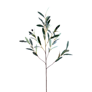 Flower Olive Branche