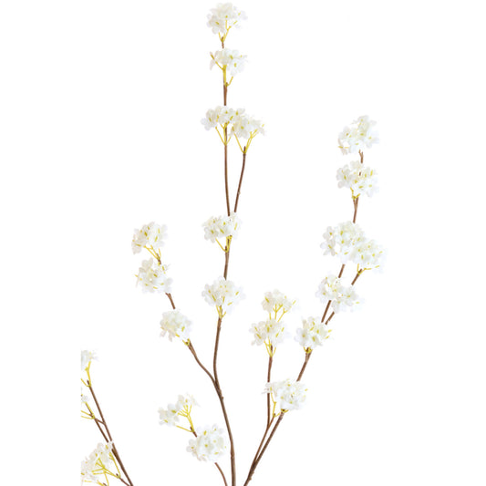 Flower Spiracea