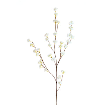 Flower Spiracea