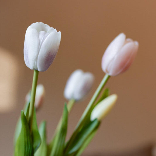 Tulpenboeket Lila Mix - 10 stuks