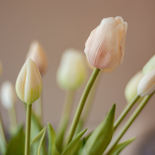 lemons conceptstore - woonwinkel roden - woonaccessoires - tulpen - kunsttulpen - zijde tulpen - zijden tulpen - zijdebloemen - zijden bloemen - nep tulpen - rood oranje prezik geel paars groen - kunstboeket - tulpenboeket
